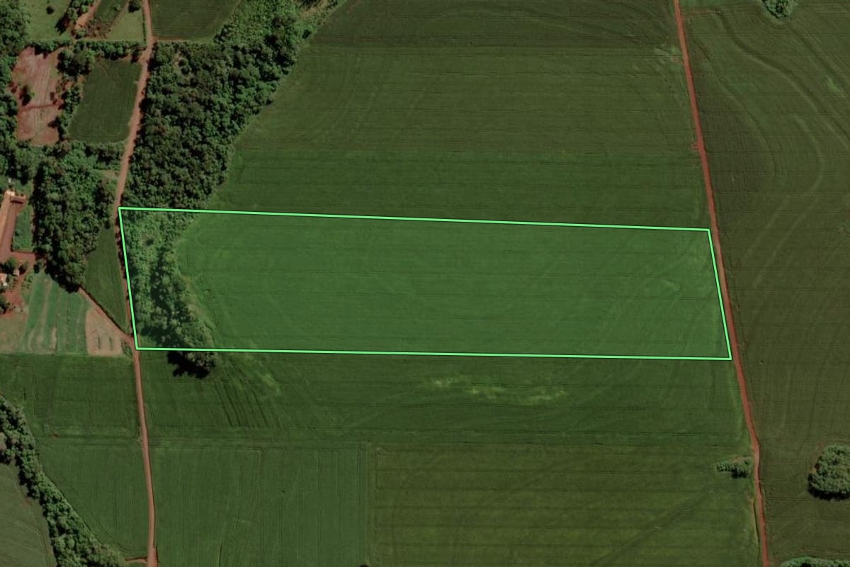 Imagem de satélite do imóvel rural em Toledo (PR), com o contorno declarado no CAR desenhado por cima.