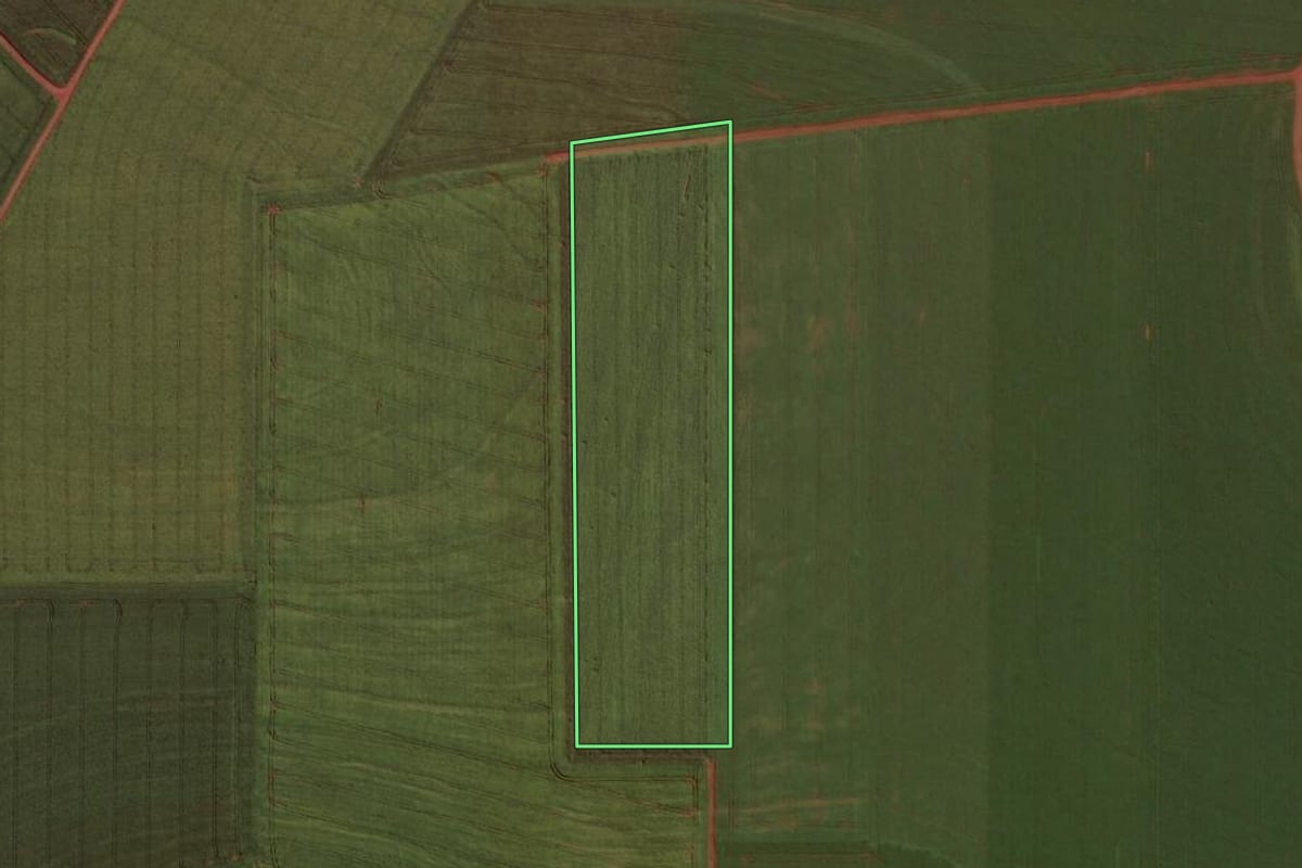 Imagem de satélite do imóvel rural em Toledo (PR), com o contorno declarado no CAR desenhado por cima.