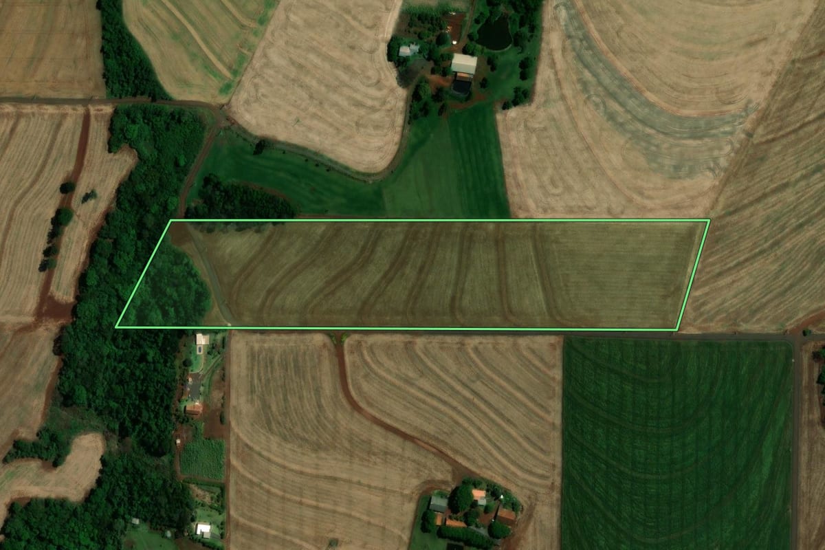 Imagem de satélite do imóvel rural em Toledo (PR), com o contorno declarado no CAR desenhado por cima.