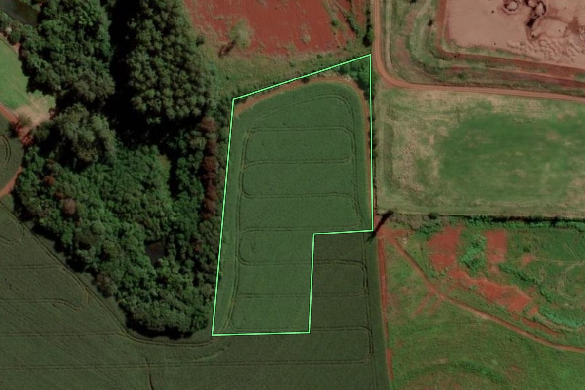 Imagem de satélite do imóvel rural em Toledo (PR), com o contorno declarado no CAR desenhado por cima.