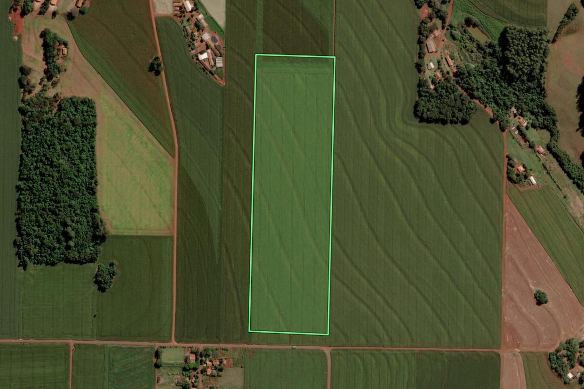Imagem de satélite do imóvel rural em Toledo (PR), com o contorno declarado no CAR desenhado por cima.