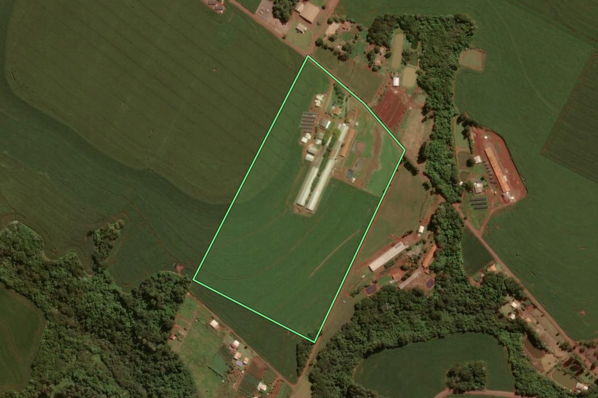Imagem de satélite do imóvel rural em Toledo (PR), com o contorno declarado no CAR desenhado por cima.