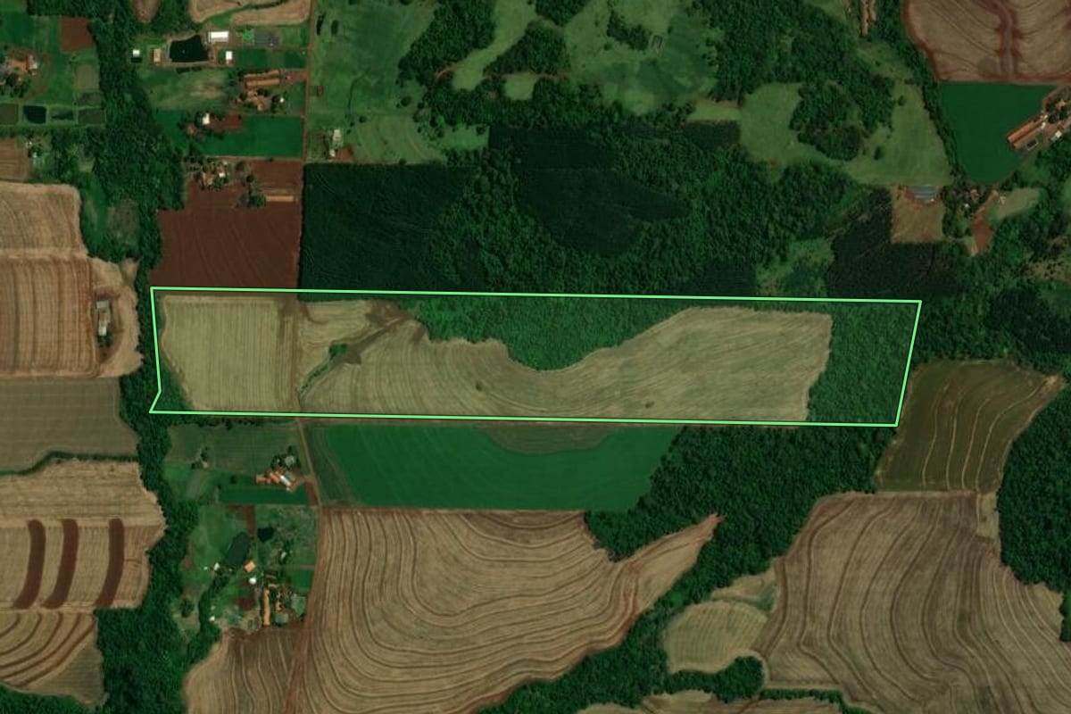 Imagem de satélite do imóvel rural em Toledo (PR), com o contorno declarado no CAR desenhado por cima.
