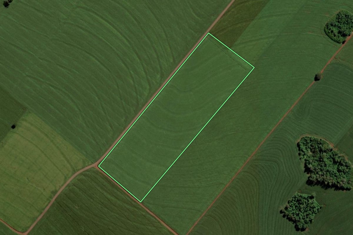 Imagem de satélite do imóvel rural em Toledo (PR), com o contorno declarado no CAR desenhado por cima.