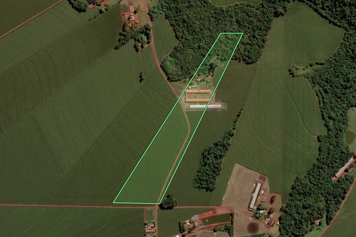 Imagem de satélite do imóvel rural em Toledo (PR), com o contorno declarado no CAR desenhado por cima.