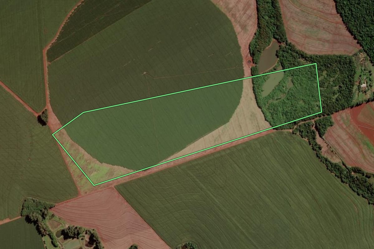 Imagem de satélite do imóvel rural em Toledo (PR), com o contorno declarado no CAR desenhado por cima.