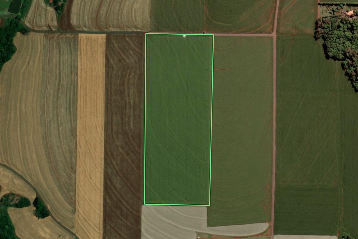 Imagem de satélite do imóvel rural em Toledo (PR), com o contorno declarado no CAR desenhado por cima.