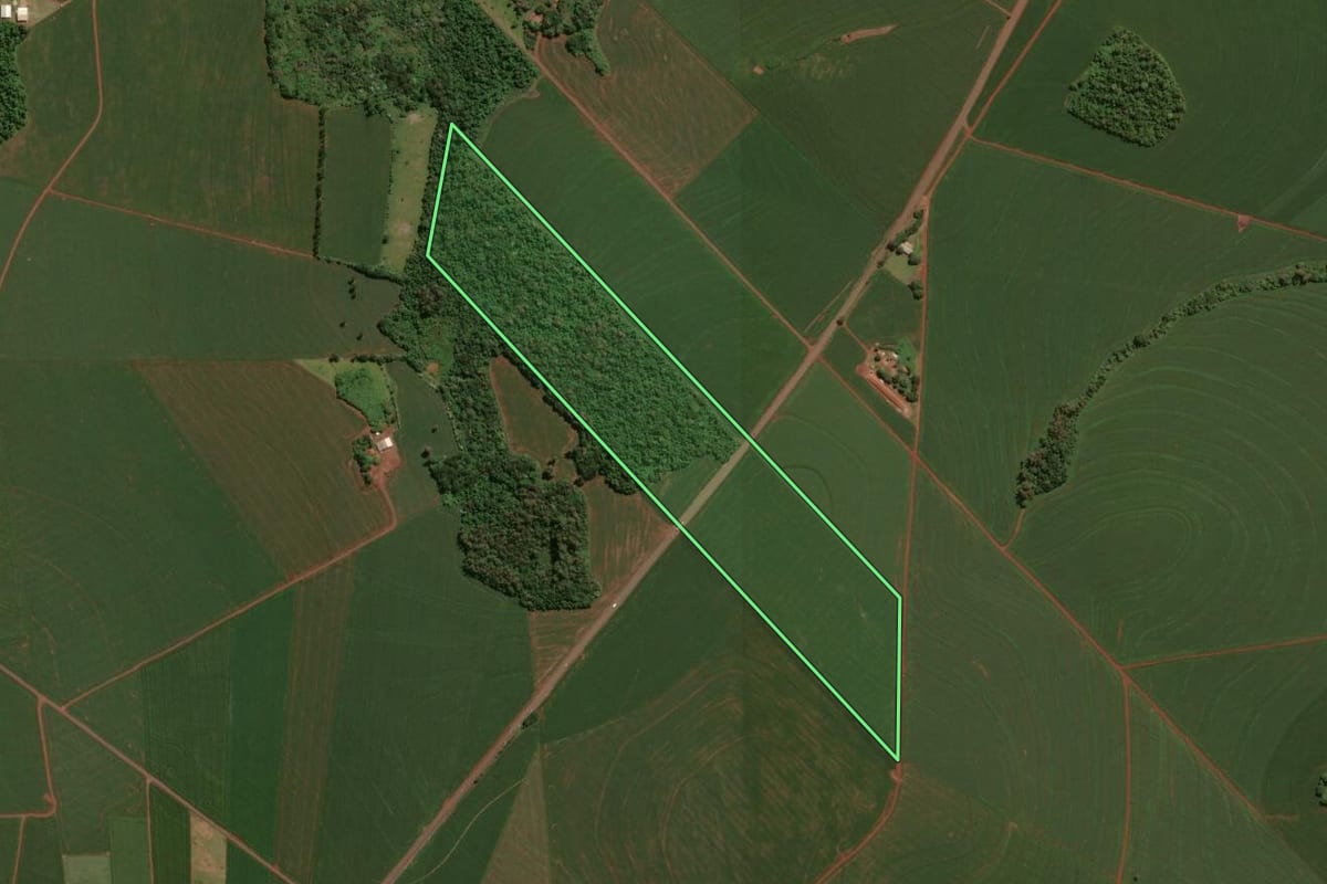 Imagem de satélite do imóvel rural em Toledo (PR), com o contorno declarado no CAR desenhado por cima.