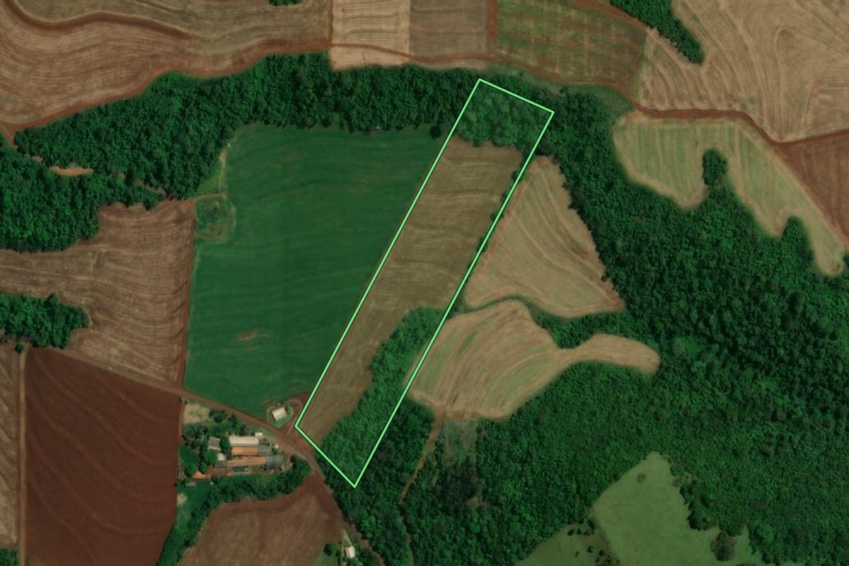 Imagem de satélite do imóvel rural em Toledo (PR), com o contorno declarado no CAR desenhado por cima.