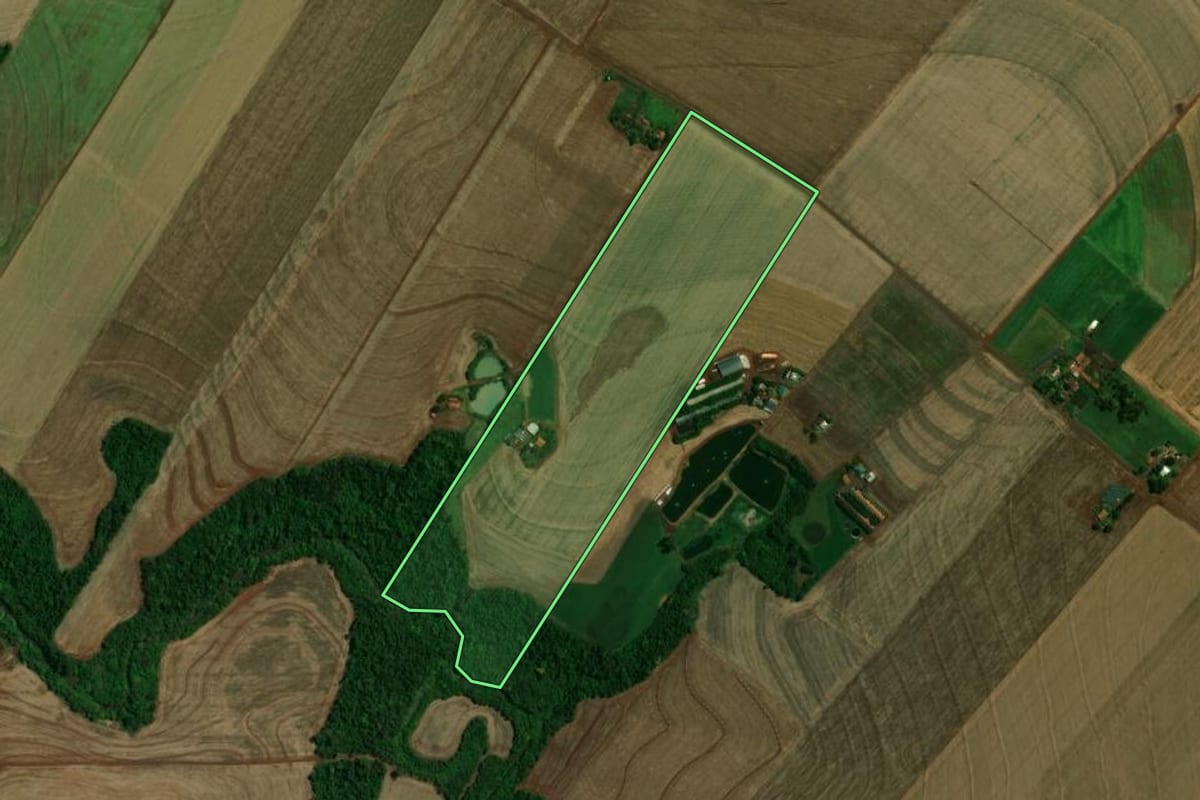 Imagem de satélite do imóvel rural em Toledo (PR), com o contorno declarado no CAR desenhado por cima.