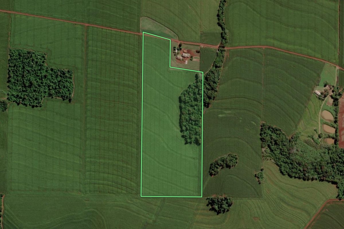 Imagem de satélite do imóvel rural em Toledo (PR), com o contorno declarado no CAR desenhado por cima.