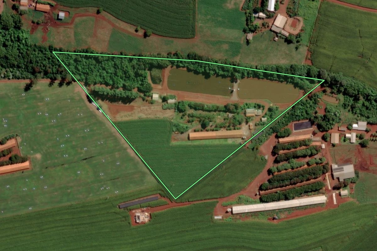 Imagem de satélite do imóvel rural em Toledo (PR), com o contorno declarado no CAR desenhado por cima.