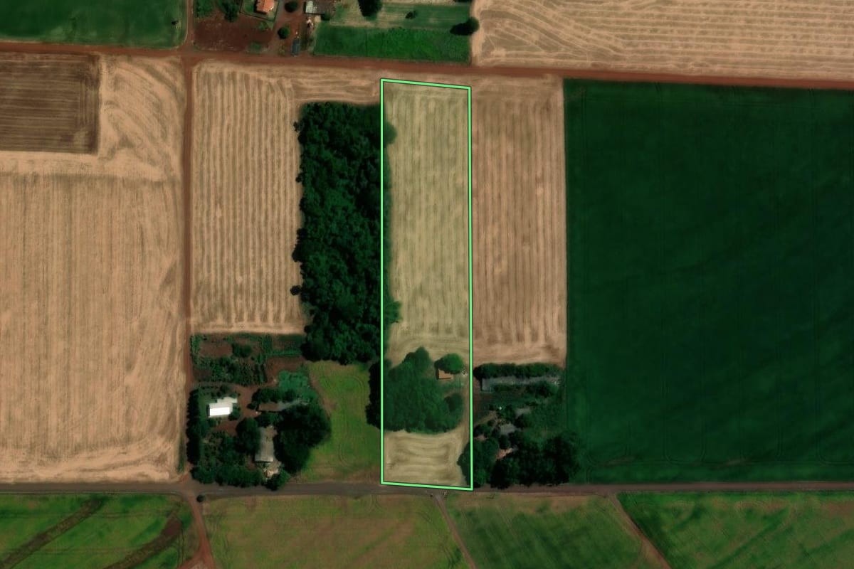 Imagem de satélite do imóvel rural em Toledo (PR), com o contorno declarado no CAR desenhado por cima.