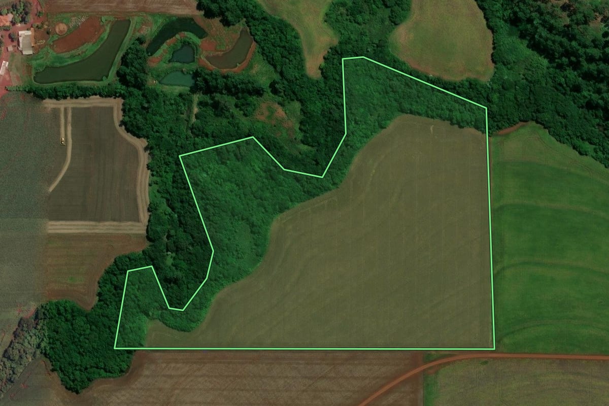 Imagem de satélite do imóvel rural em Toledo (PR), com o contorno declarado no CAR desenhado por cima.