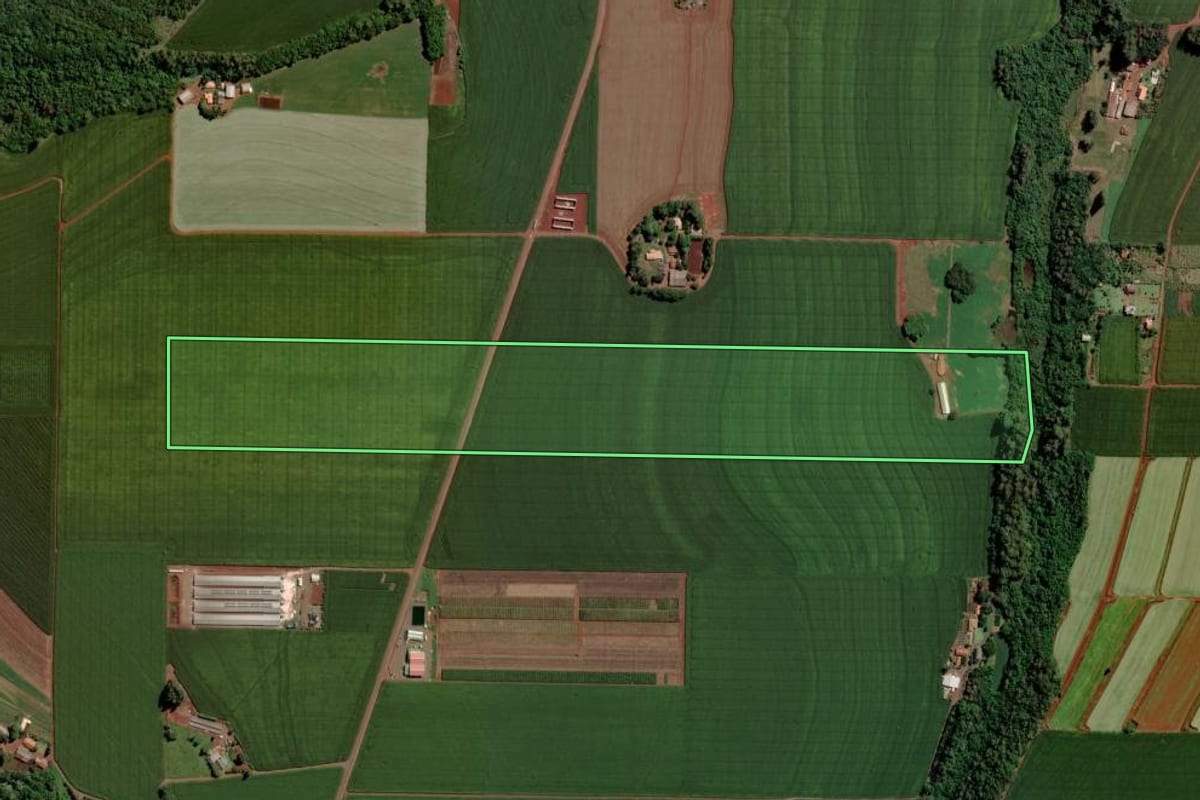 Imagem de satélite do imóvel rural em Toledo (PR), com o contorno declarado no CAR desenhado por cima.