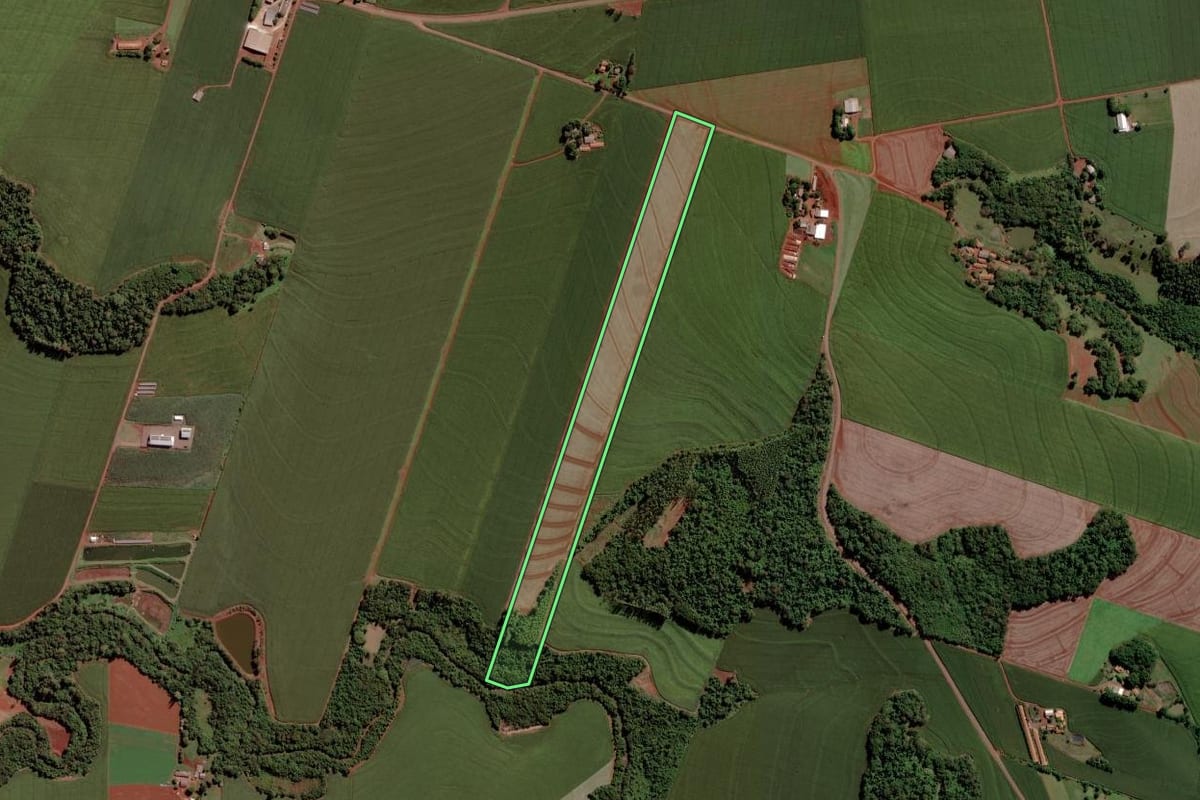 Imagem de satélite do imóvel rural em Toledo (PR), com o contorno declarado no CAR desenhado por cima.