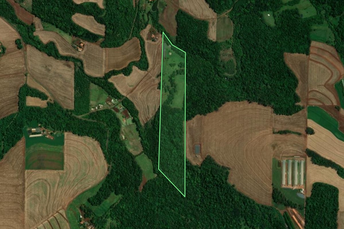 Imagem de satélite do imóvel rural em Toledo (PR), com o contorno declarado no CAR desenhado por cima.