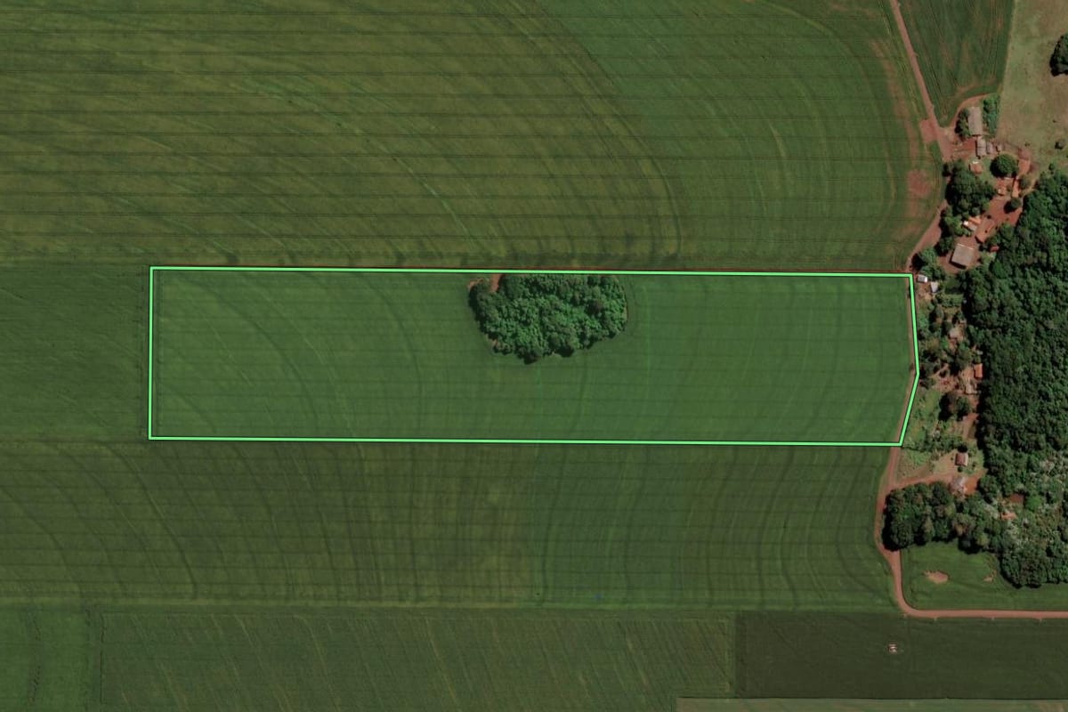 Imagem de satélite do imóvel rural em Toledo (PR), com o contorno declarado no CAR desenhado por cima.