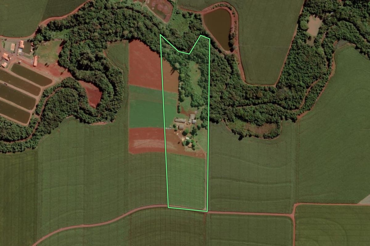 Imagem de satélite do imóvel rural em Toledo (PR), com o contorno declarado no CAR desenhado por cima.