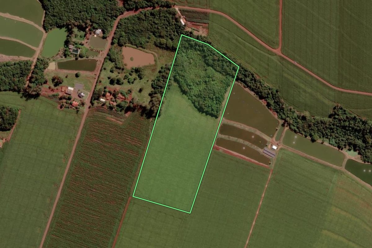 Imagem de satélite do imóvel rural em Toledo (PR), com o contorno declarado no CAR desenhado por cima.