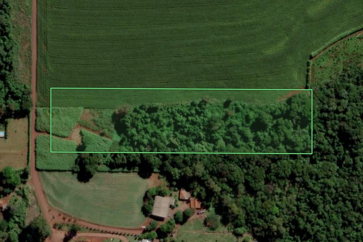 Imagem de satélite do imóvel rural em Toledo (PR), com o contorno declarado no CAR desenhado por cima.