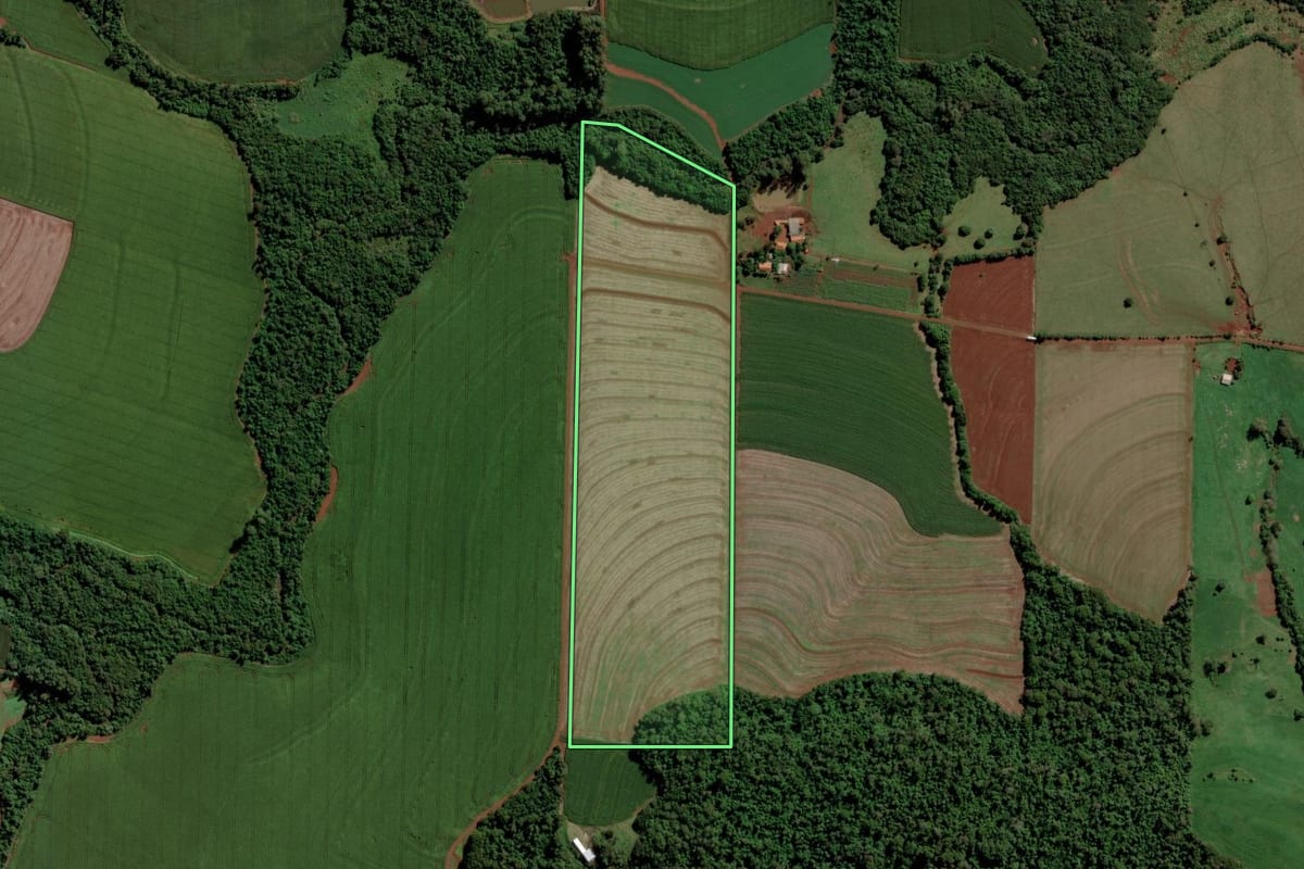 Imagem de satélite do imóvel rural em Toledo (PR), com o contorno declarado no CAR desenhado por cima.