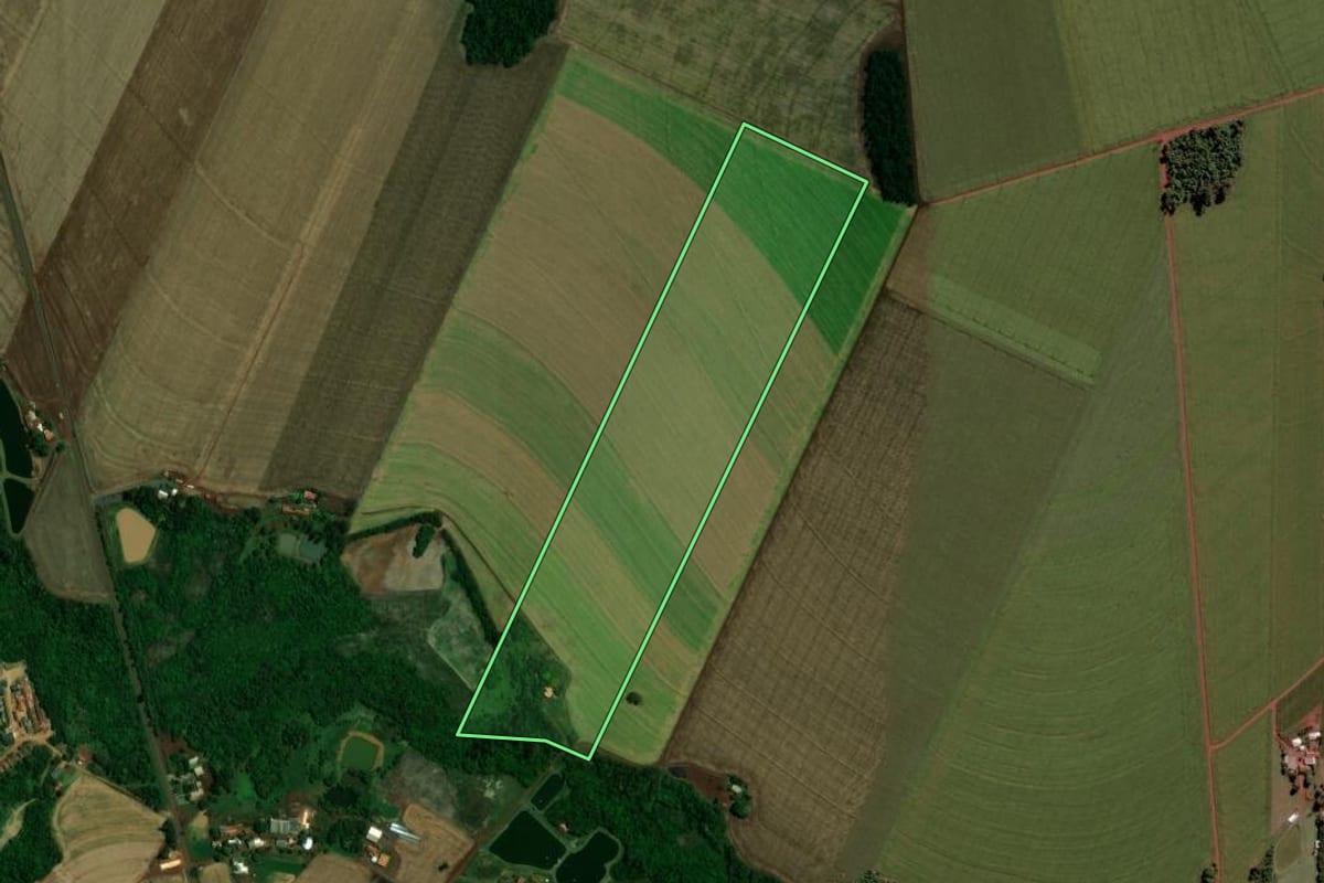 Imagem de satélite do imóvel rural em Toledo (PR), com o contorno declarado no CAR desenhado por cima.