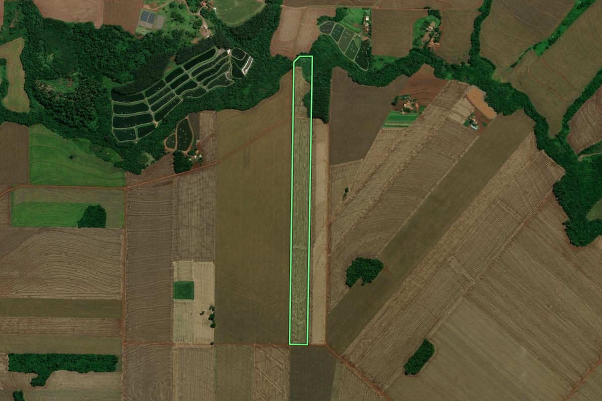 Imagem de satélite do imóvel rural em Toledo (PR), com o contorno declarado no CAR desenhado por cima.