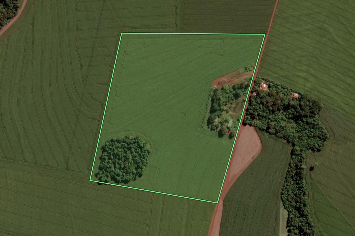 Imagem de satélite do imóvel rural em Toledo (PR), com o contorno declarado no CAR desenhado por cima.