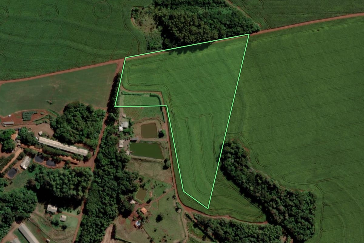 Imagem de satélite do imóvel rural em Toledo (PR), com o contorno declarado no CAR desenhado por cima.