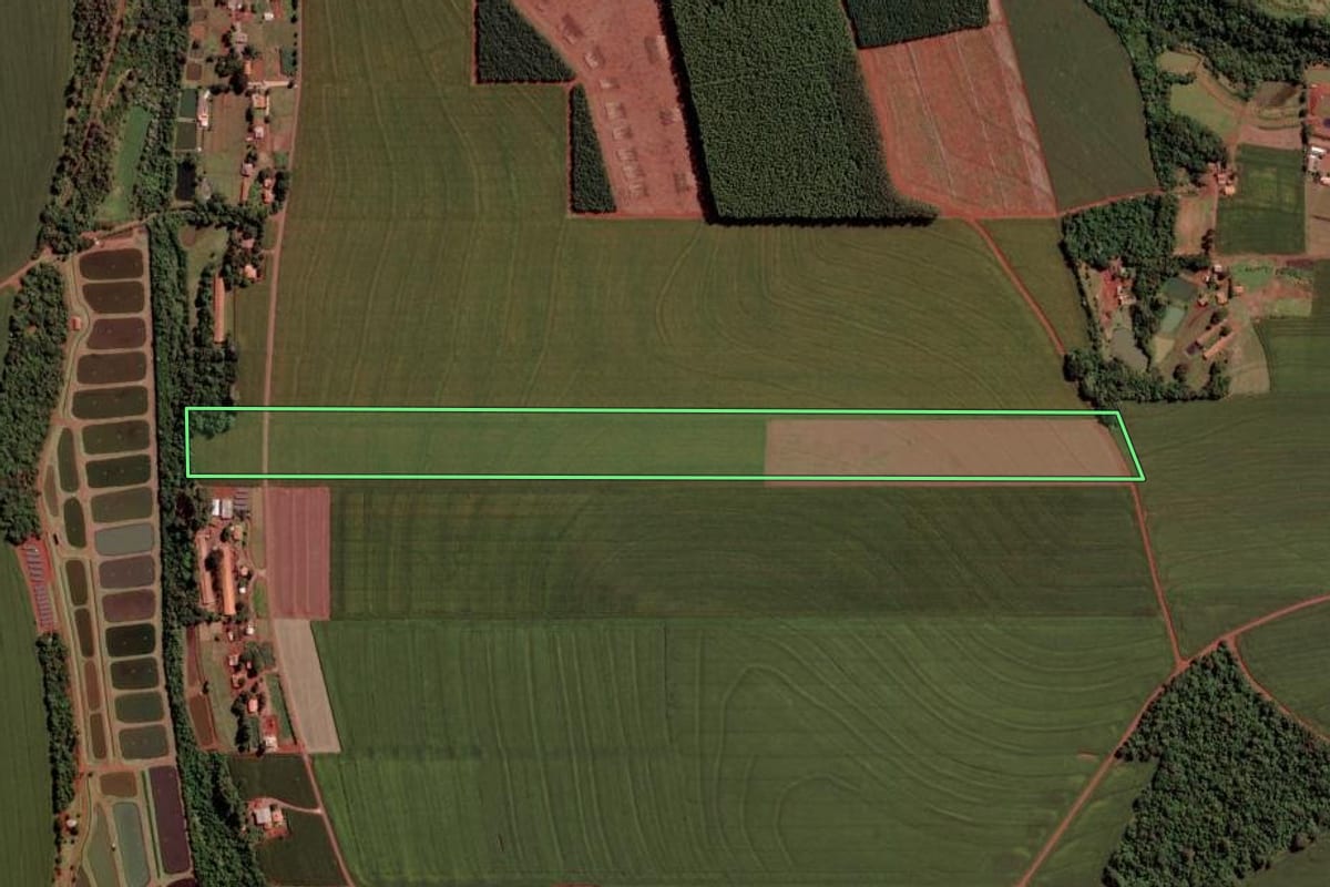 Imagem de satélite do imóvel rural em Toledo (PR), com o contorno declarado no CAR desenhado por cima.