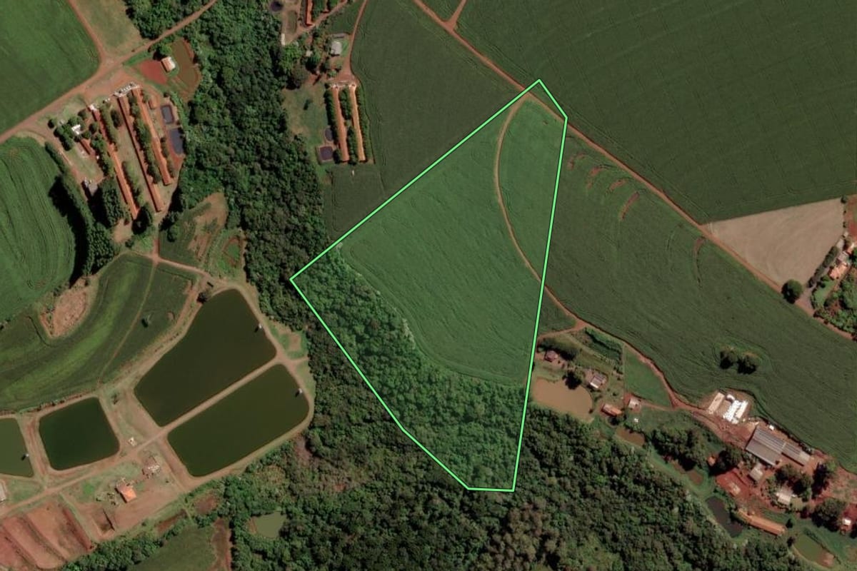 Imagem de satélite do imóvel rural em Toledo (PR), com o contorno declarado no CAR desenhado por cima.