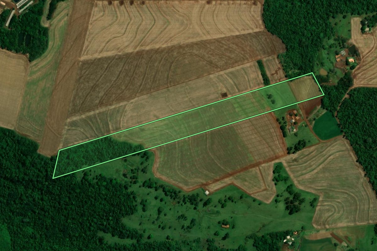 Imagem de satélite do imóvel rural em Toledo (PR), com o contorno declarado no CAR desenhado por cima.