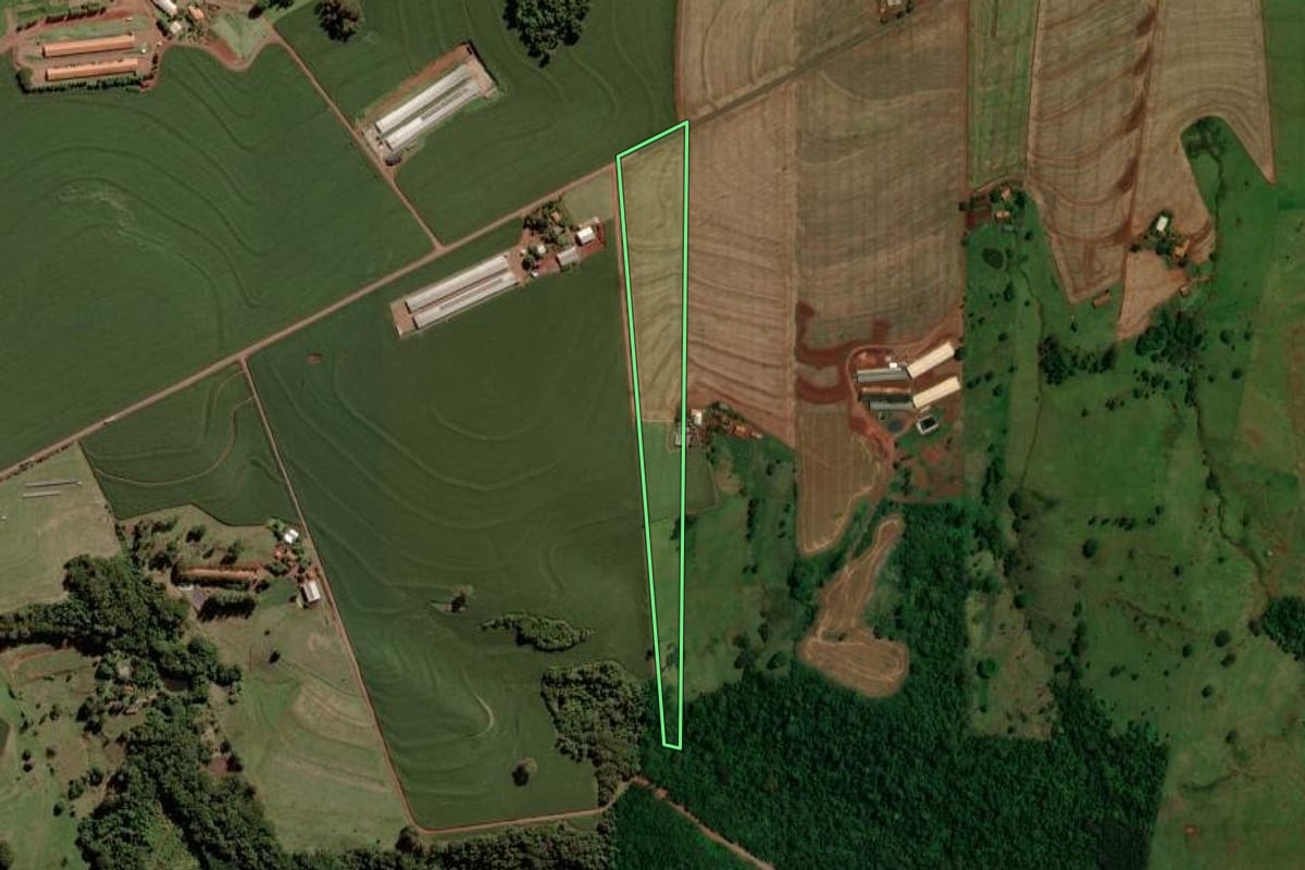Imagem de satélite do imóvel rural em Toledo (PR), com o contorno declarado no CAR desenhado por cima.
