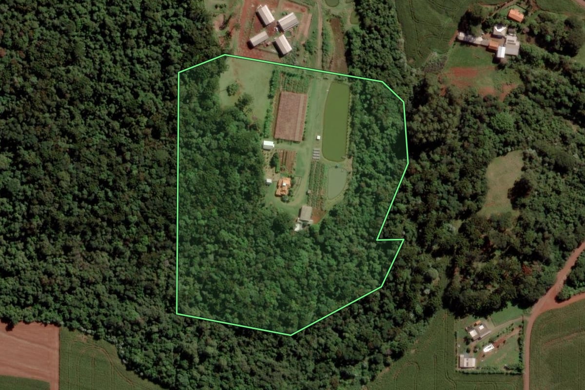 Imagem de satélite do imóvel rural em Toledo (PR), com o contorno declarado no CAR desenhado por cima.
