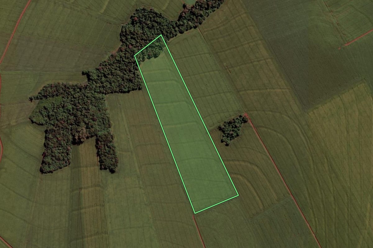 Imagem de satélite do imóvel rural em Toledo (PR), com o contorno declarado no CAR desenhado por cima.