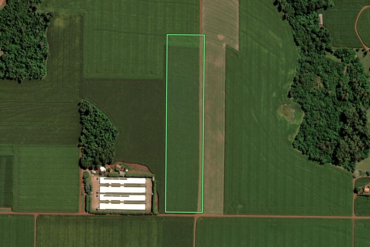 Imagem de satélite do imóvel rural em Toledo (PR), com o contorno declarado no CAR desenhado por cima.