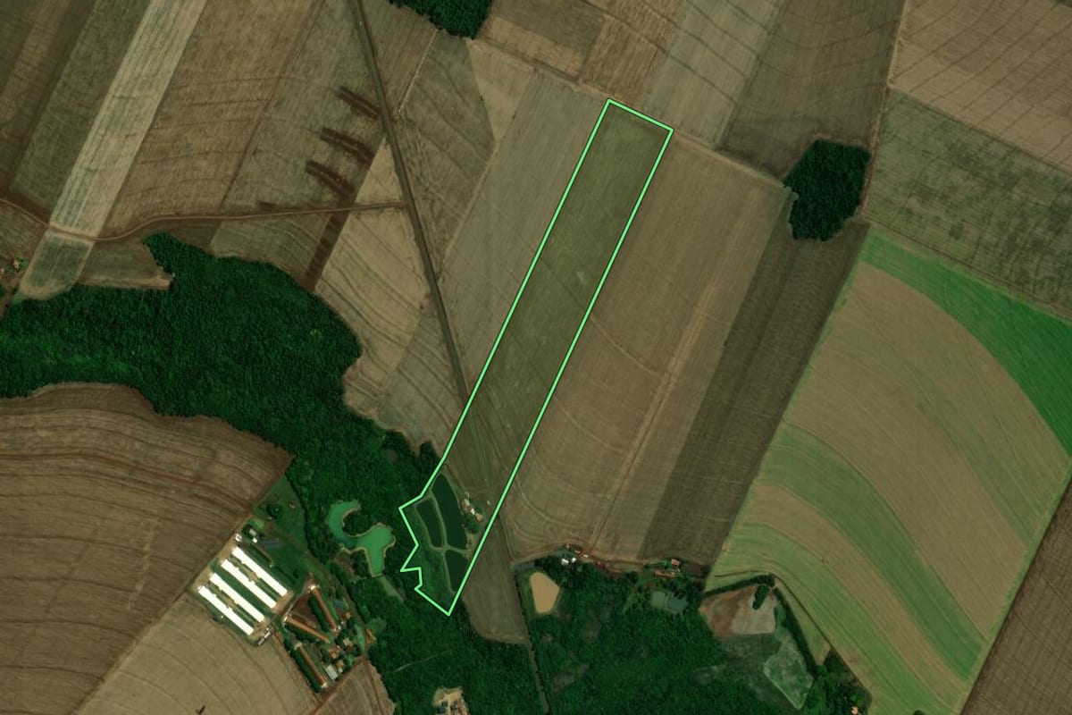 Imagem de satélite do imóvel rural em Toledo (PR), com o contorno declarado no CAR desenhado por cima.