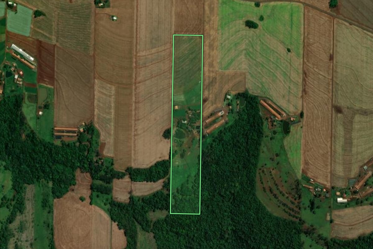 Imagem de satélite do imóvel rural em Toledo (PR), com o contorno declarado no CAR desenhado por cima.