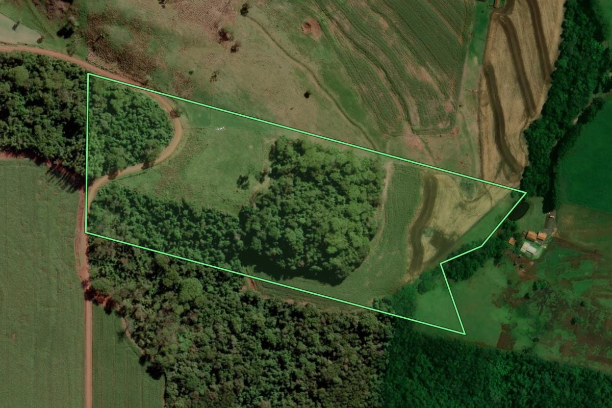 Imagem de satélite do imóvel rural em Toledo (PR), com o contorno declarado no CAR desenhado por cima.
