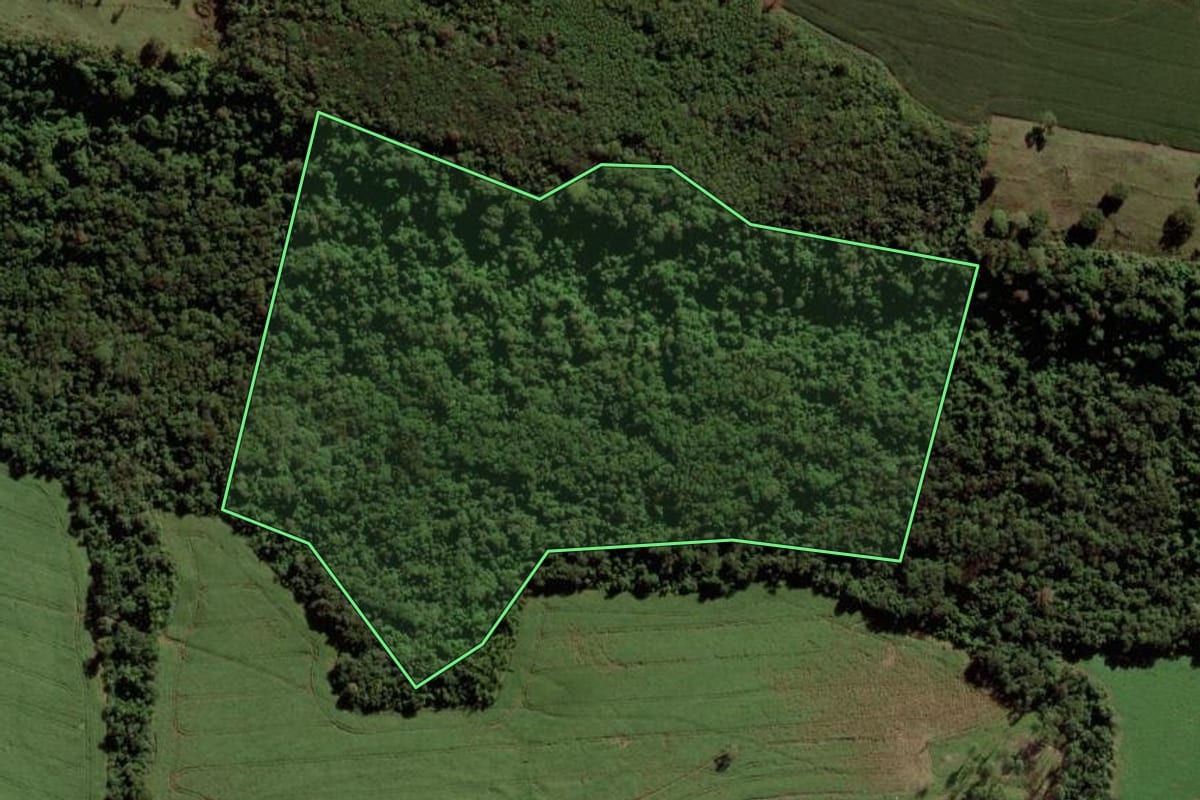 Imagem de satélite do imóvel rural em Toledo (PR), com o contorno declarado no CAR desenhado por cima.