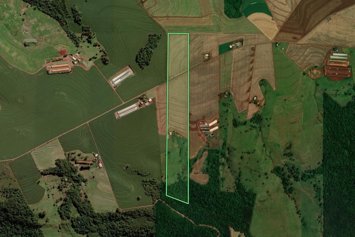Imagem de satélite do imóvel rural em Toledo (PR), com o contorno declarado no CAR desenhado por cima.