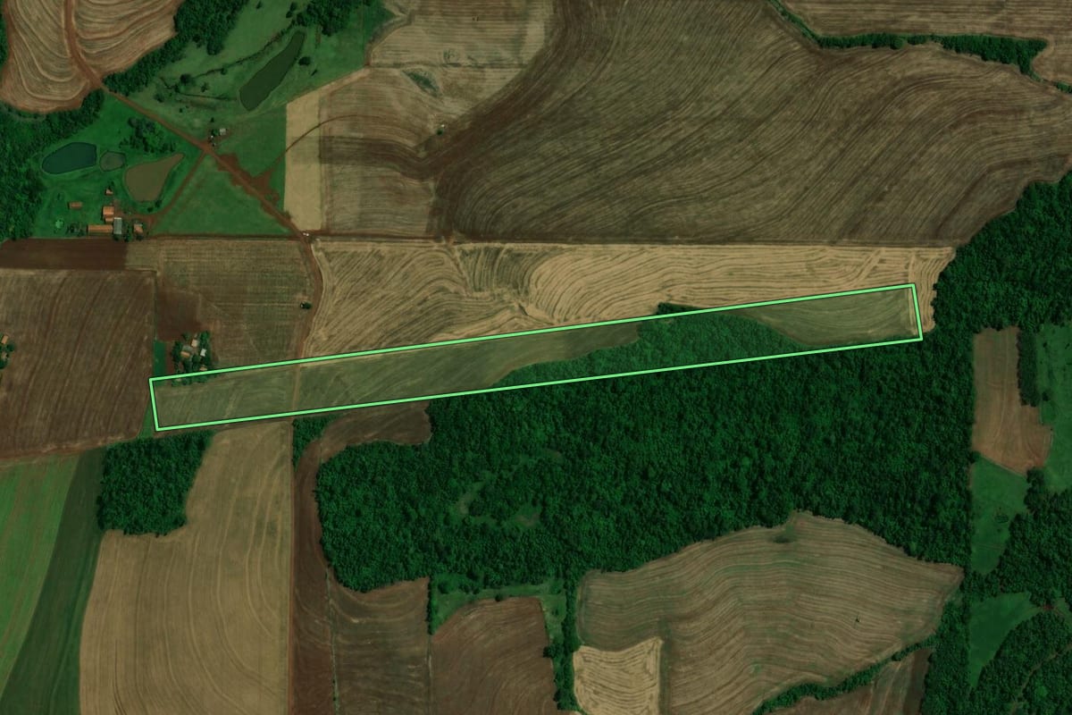 Imagem de satélite do imóvel rural em Toledo (PR), com o contorno declarado no CAR desenhado por cima.