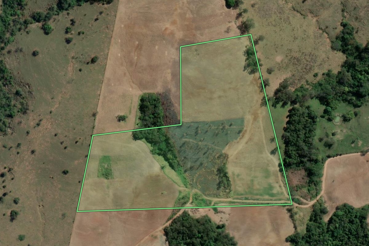 Imagem de satélite do imóvel rural em Tomazina (PR), com o contorno declarado no CAR desenhado por cima.