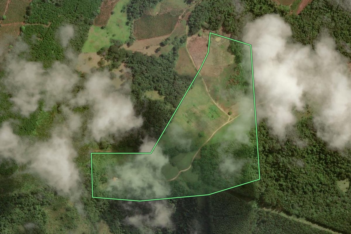 Imagem de satélite do imóvel rural em Tomazina (PR), com o contorno declarado no CAR desenhado por cima.