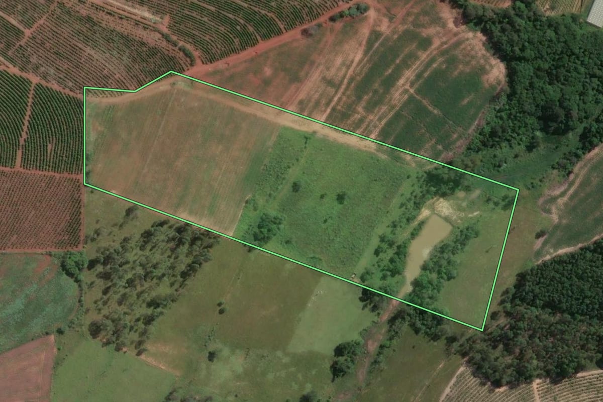 Imagem de satélite do imóvel rural em Tomazina (PR), com o contorno declarado no CAR desenhado por cima.