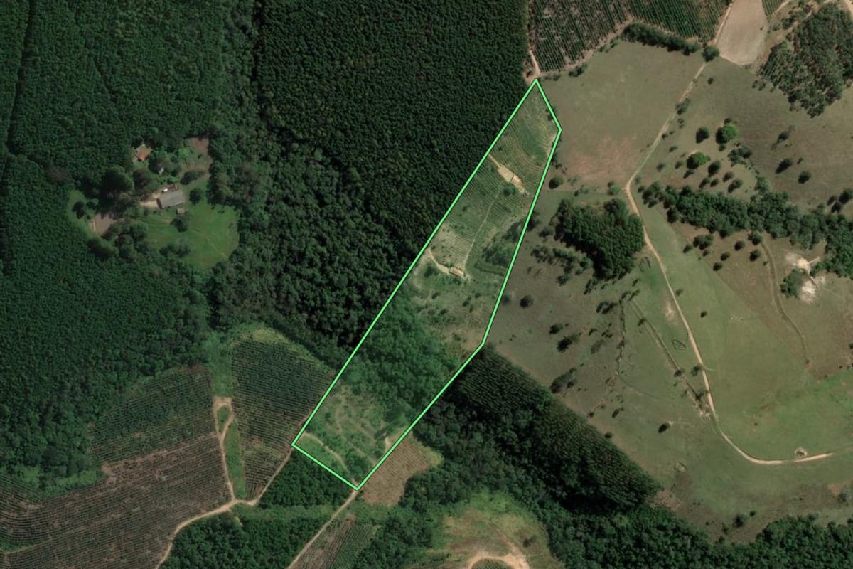 Imagem de satélite do imóvel rural em Tomazina (PR), com o contorno declarado no CAR desenhado por cima.