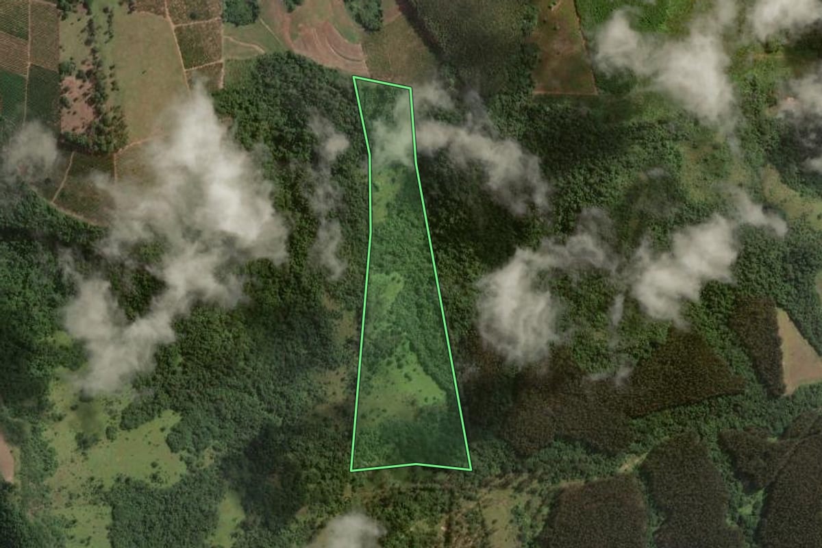 Imagem de satélite do imóvel rural em Tomazina (PR), com o contorno declarado no CAR desenhado por cima.