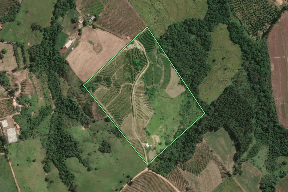 Imagem de satélite do imóvel rural em Tomazina (PR), com o contorno declarado no CAR desenhado por cima.