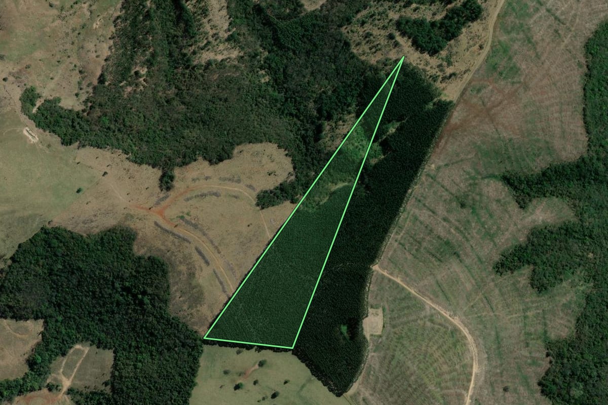 Imagem de satélite do imóvel rural em Tomazina (PR), com o contorno declarado no CAR desenhado por cima.